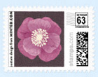 Floral Wedding Postage Stamp