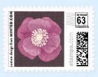 Floral Wedding Postage Stamp Floral Wedding Postage Stamp